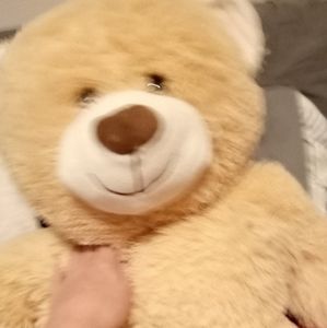 Giant stuffed bear and good condition